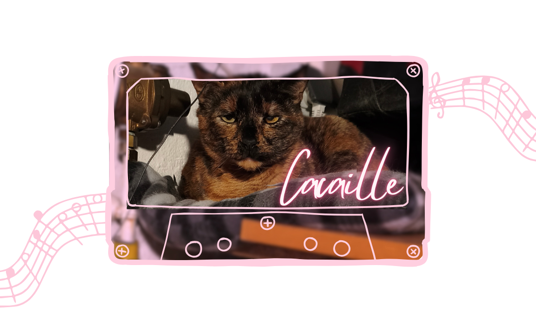 L'histoire de Cacaille